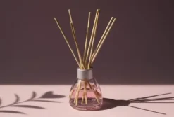 Bambuspinnar 80 cm Ø6 mm – 500 st, för växter, orkidéer och dekoration