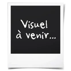 Champagnehink 3 flaskor - För Champagne, Ishink - Genomskinlig