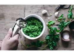 Dreamfarm - Garject Black-Hvidløgspresser