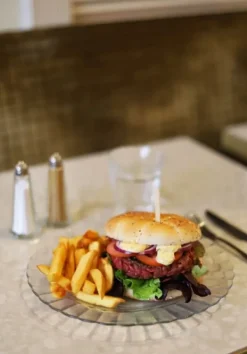 Tallrikar & Bordsserviser-Duralex Platta Duralex PICARDIE transparent 230 x 20 mm - 6 st. platta Duralex PICARDIE transparent 230 x 20 mm - 6 st.