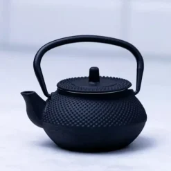 Tebryggare-GJUTJÄRNKANNA 300ml MED FILTER KINGHOFF KH-1817