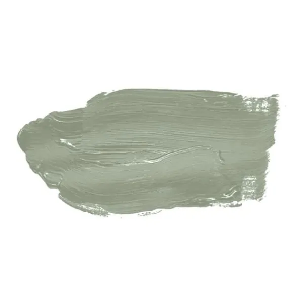 Grön matt väggfärg The Color Kitchen Sane Sage Dispersion exklusiv för inomhus Hög intensitet på 5 liter