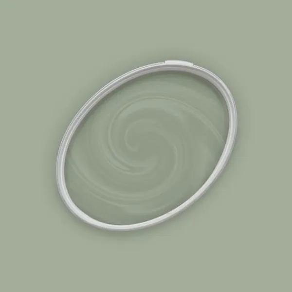 Grön matt väggfärg The Color Kitchen Sane Sage Dispersion exklusiv för inomhus Hög intensitet på 5 liter