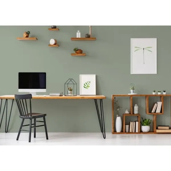 Grön matt väggfärg The Color Kitchen Sane Sage Dispersion exklusiv för inomhus Hög intensitet på 5 liter