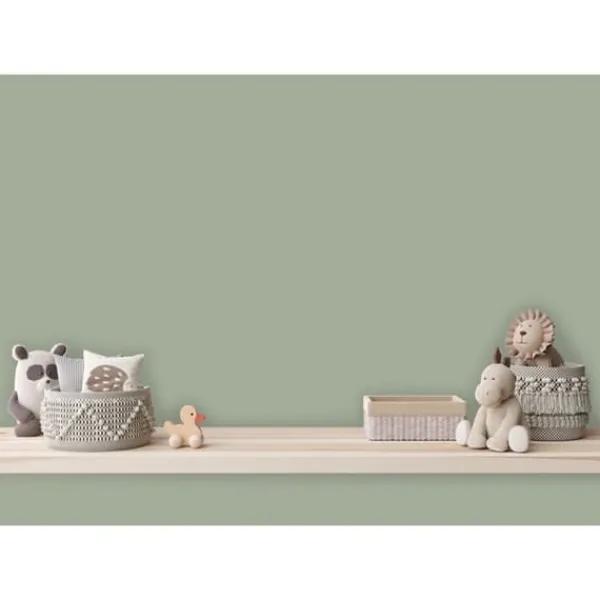 Grön matt väggfärg The Color Kitchen Sane Sage Dispersion exklusiv för inomhus Hög intensitet på 5 liter