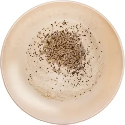 Vispskålar & Bunkar-Köksblandningsskål med lock 27 cm, 5 l