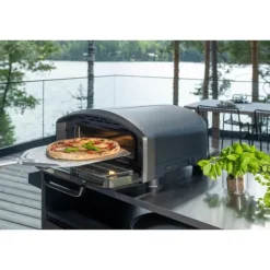 Mustang Pizzaugn Electric Astroni