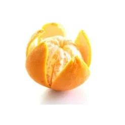 Rostfri citrusskalkniv - Hendi 856055