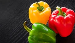 SKÄRBRÄDA I GLAS 52x30 PAPRIKA