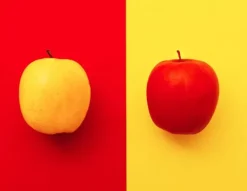 SKÄRBRÄDA I GLASPLATTA 52x40 FRUKT