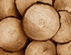 SKÄRBRÄDA I GLASPLATTA 52x40 TRÄ