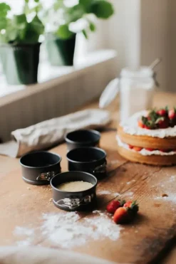 Dorre Springform 4-pack Karabo Ø10 cm Kolstål