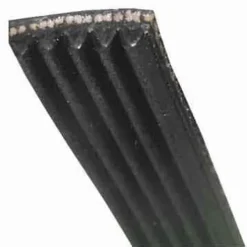 Tvättmaskinsrem - FAGOR - 1228J5 MAEL - Kompatibel med Brandt och Vedette - 55X3417