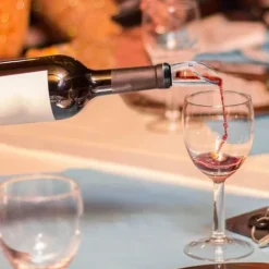 Vinkylare 3-i-1 rostfritt stål vinflaskkylare pinnfrys, luftar vin för jul- och födelsedagspresenter