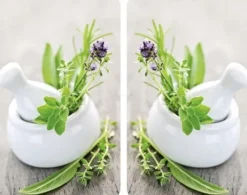 Wenko HERB GARDEN glasskyddsplattor för spis - 2 stycken, WENKO